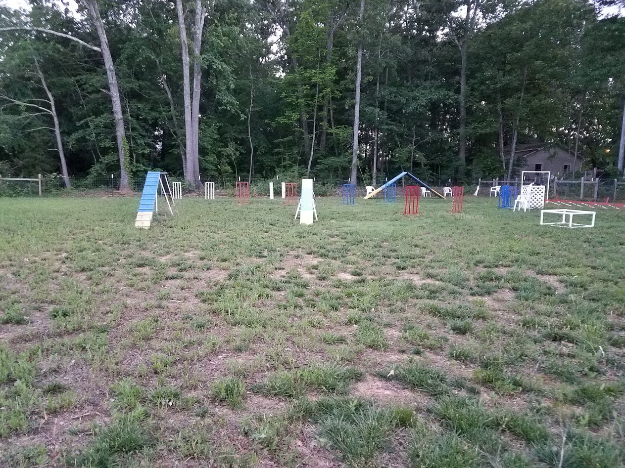 Dog Agility Field